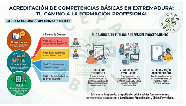 Infografía sobre Competencias Básicas